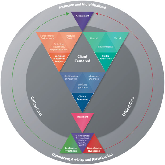 Illustration of the model of bobath clinical practice