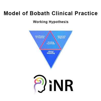 iNeuroRehab - Model of Bobath Clinical Practice